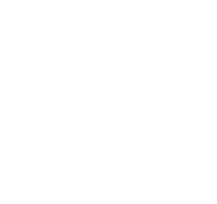Nacho Disk Icon